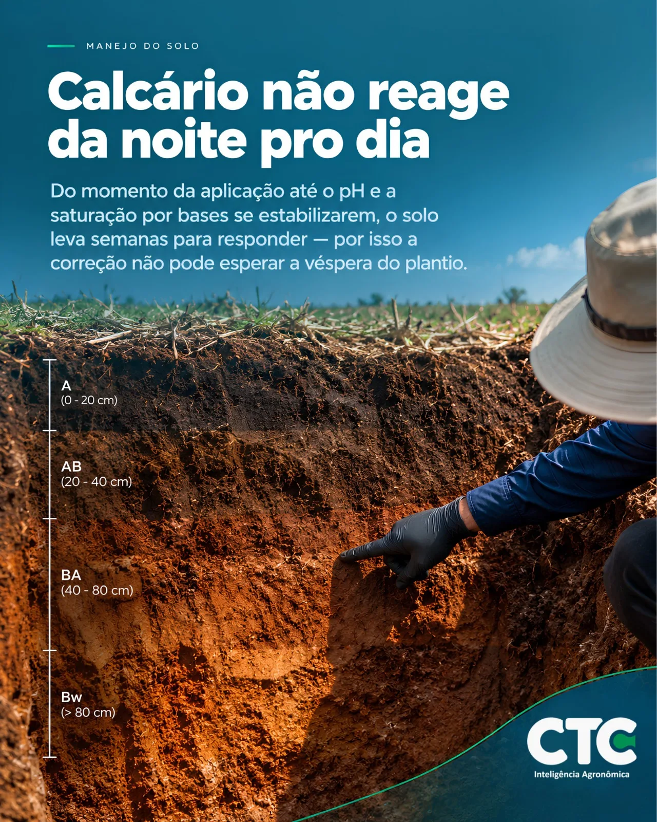 Perfil de solo aberto em trincheira, com os horizontes A, AB, BA e Bw identificados por profundidade