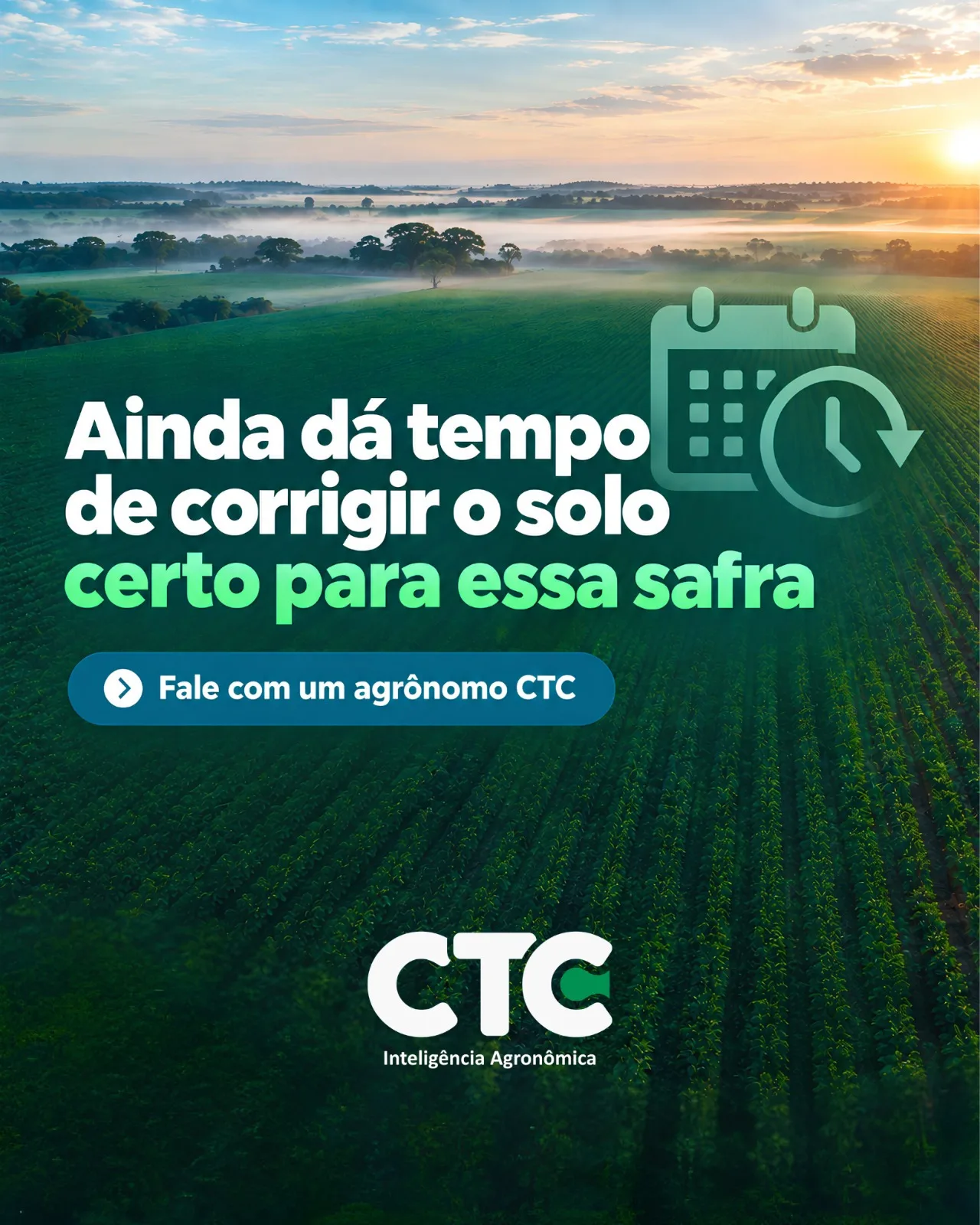 Lavoura de soja ao amanhecer, com a chamada sobre a janela de correção do solo para a safra