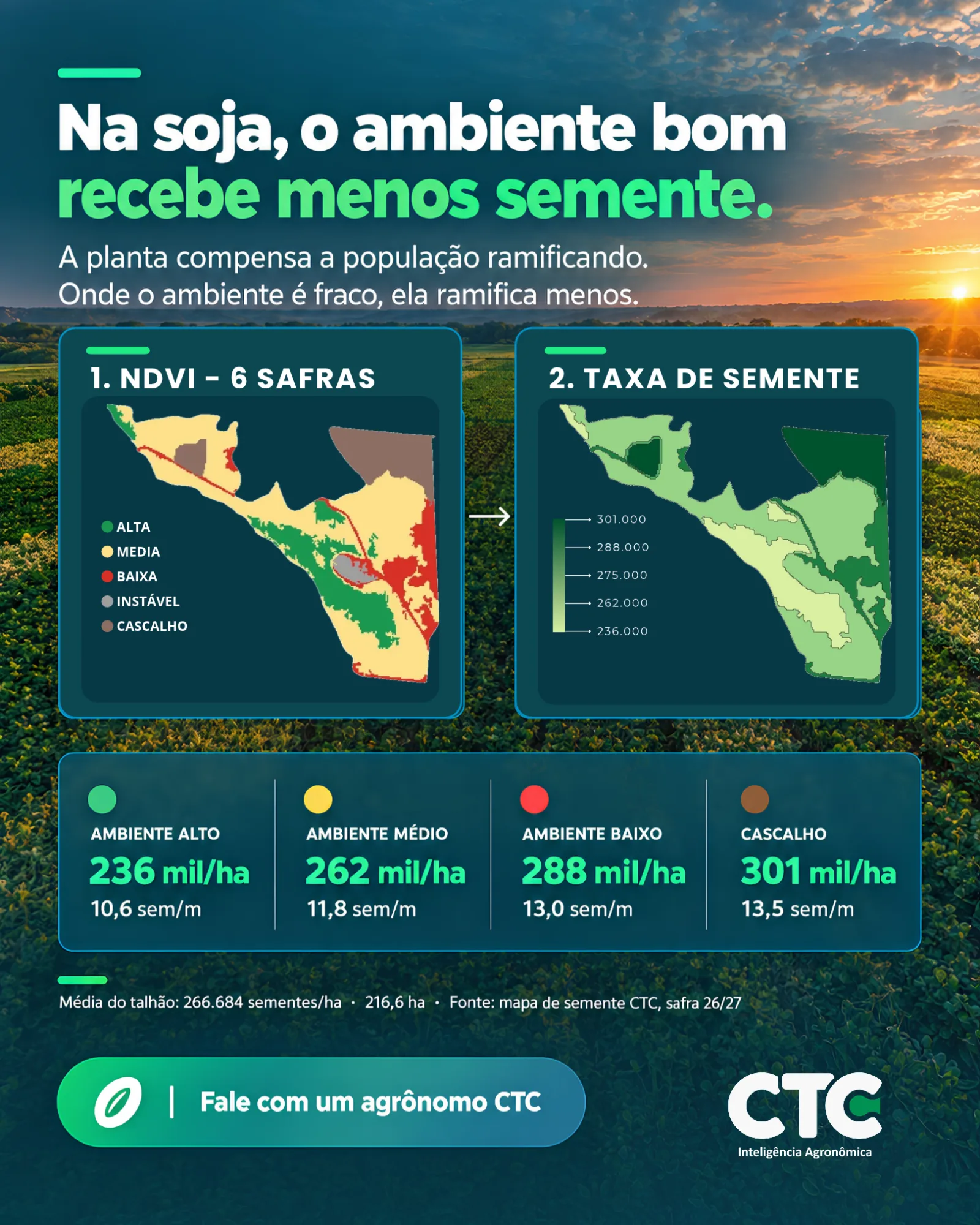 Lavoura de soja ao amanhecer, com a chamada sobre a janela de correção do solo para a safra