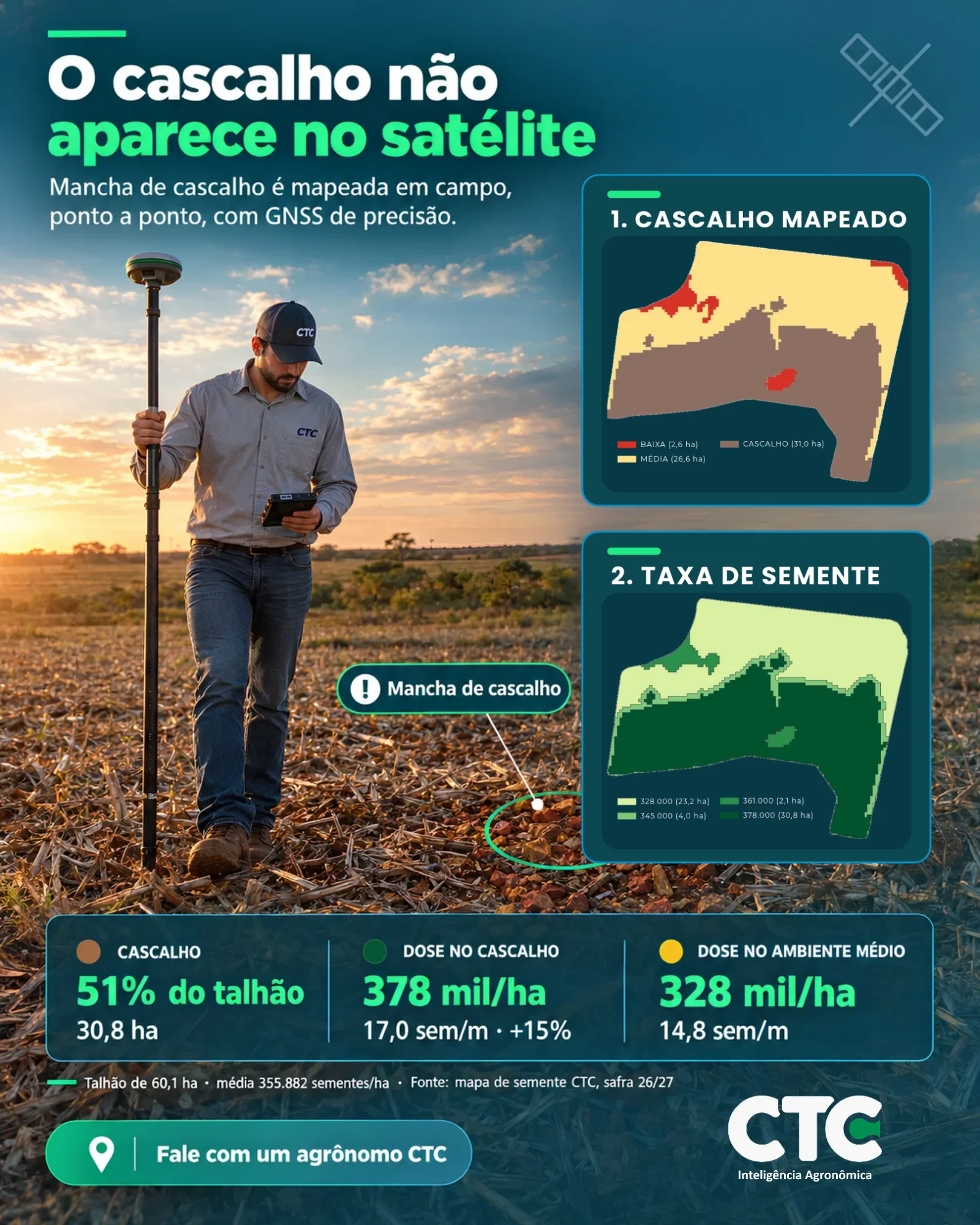 Perfil de solo aberto em trincheira, com os horizontes A, AB, BA e Bw identificados por profundidade